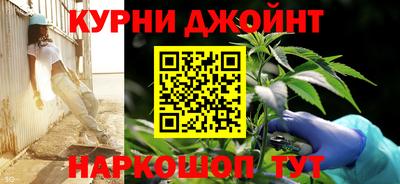 крисы Гагарин