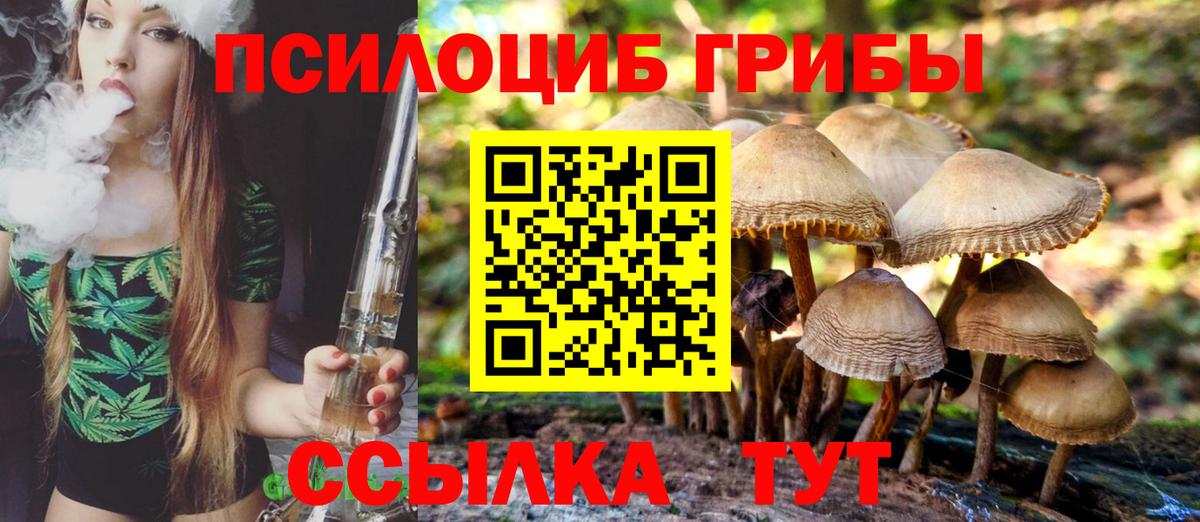 Галлюциногенные грибы Psilocybine cubensis Мыски